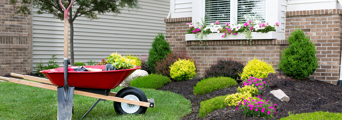 creating-year-round-color-in-your-yard-hero