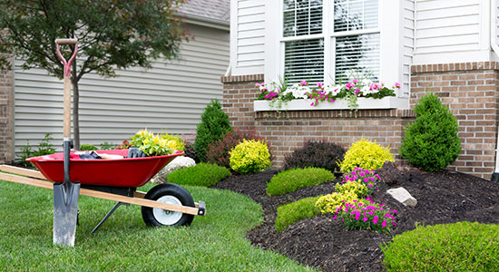 thumbnailfor a red wheelbarrow in a front yard with colorful plants and shrubs