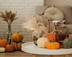 gourds as fall decoration