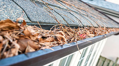 Gutters full of leaves and debris
