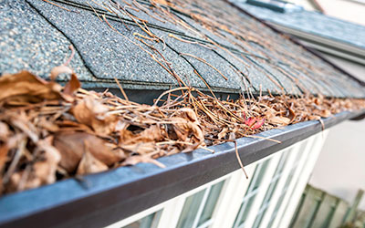 Gutters full of leaves and debris