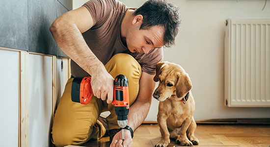 thumbnailfor Man repairing house while his dog watches