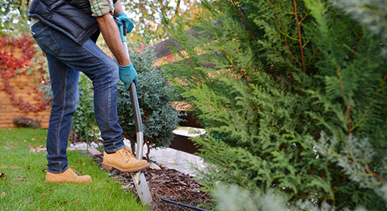 thumbnailfor A man is using a shovel to do work in his yard