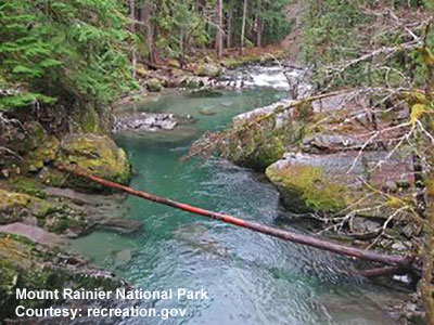 mount rainier national park