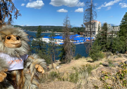 A Solarity Sasquatch enjoys views overlooking Lake Coeur d'Alene