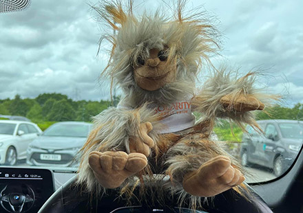 solarity-squatch-stuffed-animal-12