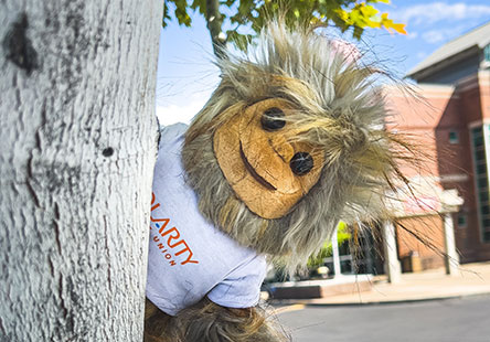 Get a free sasquatch stuffed animal with every Solarity RV loan