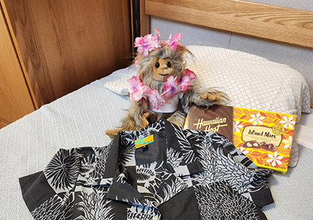 solarity-squatch-stuffed-animal-7