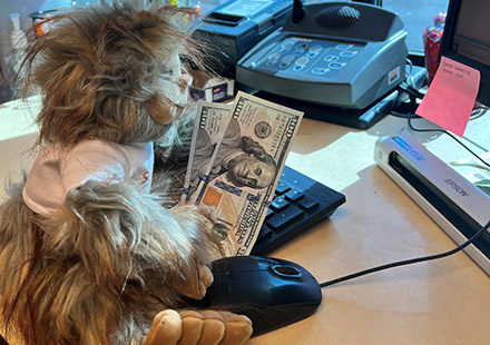 solarity-squatch-stuffed-animal-8
