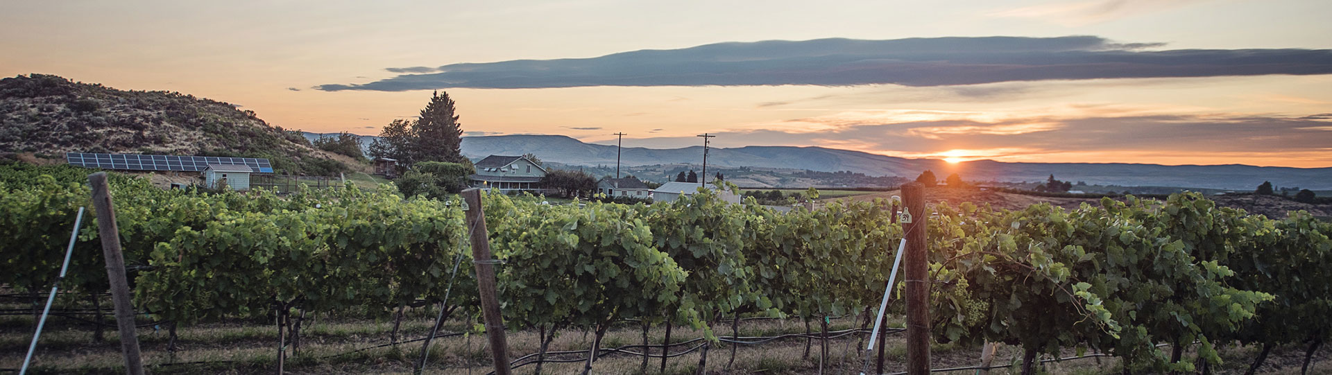 Yakima Valley Landscape