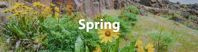 Yakima weather spring