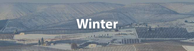 Yakima weather winter